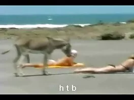 Сладката bg domasno porno тийнейджърка чука съквартиранта си